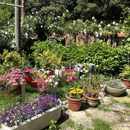 Casa Lili *